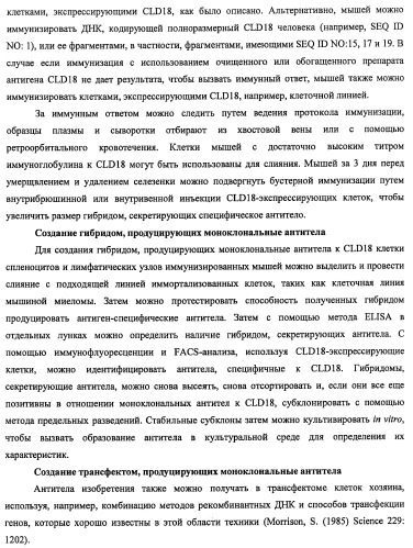 Моноклональные антитела к клаудину-18 для лечения рака (патент 2445319)