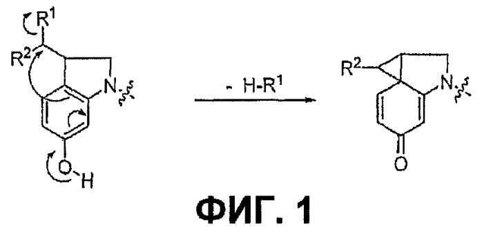 Водорастворимые аналоги сс-1065 и их конъюгаты (патент 2489423)