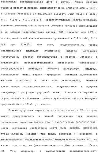 Гены corynebacterium glutamicum, кодирующие белки метаболических путей (патент 2306339)