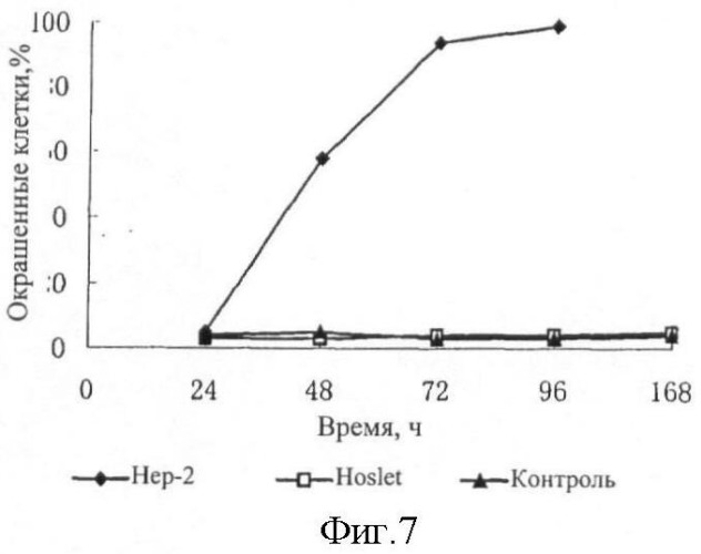 Рекомбинантный вирус, построенный с использованием вектора вируса и гена-подавителя опухоли человека, а также его применение (патент 2392319)