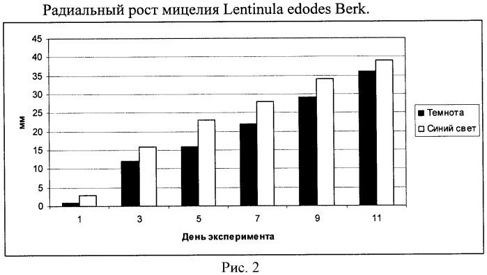 Способ выращивания мицелия lentinula edodes berk. (патент 2453590)