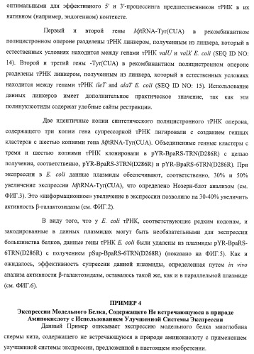 Система экспрессии компонентов ортогональной трансляции в эубактериальной клетке-хозяине (патент 2467069)