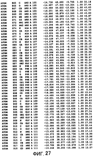 Способ модифицирования трансглутаминаз микроорганизмов (патент 2260051)