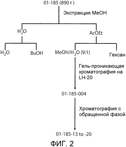 Терапевтические средства на основе производных диглицилиловых простых эфиров и способы их применения (патент 2572596)