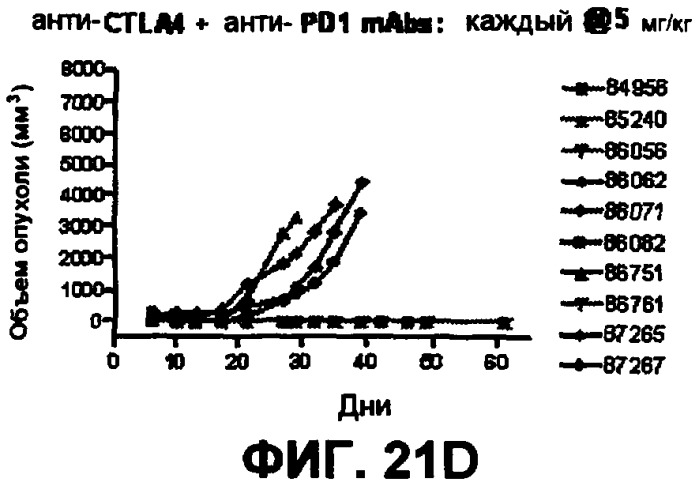 Моноклональные антитела человека к белку программируемой смерти 1 (pd-1) и способы лечения рака с использованием анти-pd-1-антител самостоятельно или в комбинации с другими иммунотерапевтическими средствами (патент 2406760)