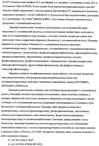 Способ получения l-треонина с использованием бактерии, принадлежащей к роду escherichia, в которой инактивирован ген fhua (патент 2333955)