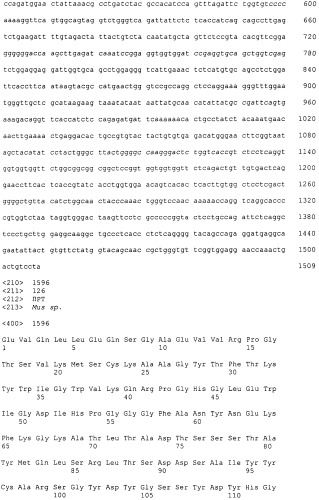 Pscaxcd3, cd19xcd3, c-metxcd3, эндосиалинxcd3, epcamxcd3, igf-1rxcd3 или fap-альфаxcd3 биспецифическое одноцепочечное антитело с межвидовой специфичностью (патент 2547600)