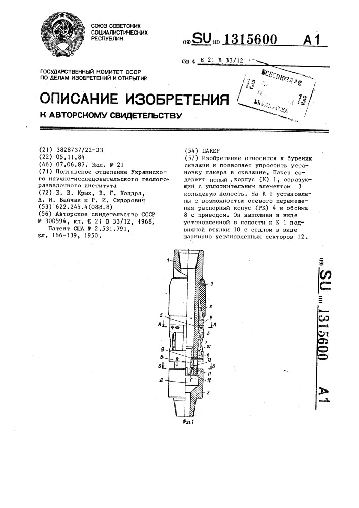 Пакер (патент 1315600)