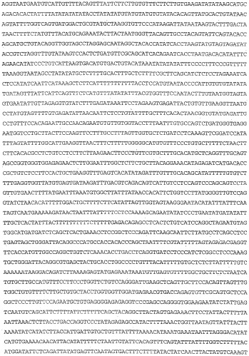 Применение s1p (патент 2362565)