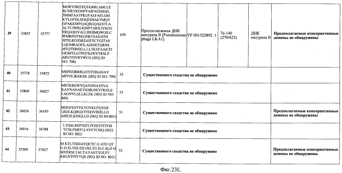 Бактериофаг, обладающий активностью против pseudomonas aeruginosa, белки бактериофага и способы их применения (патент 2580248)