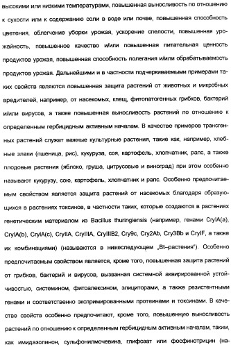 Замещенные тиазолилом карбоциклические 1,3-дионы в качестве средств для борьбы с вредителями (патент 2306310)