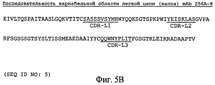 Антитела-антагонисты против notch3 и их применение для профилактики и лечения связанных с notch3 заболеваний (патент 2493167)
