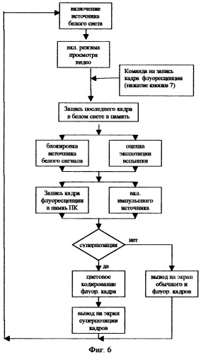 Способ флуоресцентной эндоскопии и устройство его реализующее (патент 2290855)