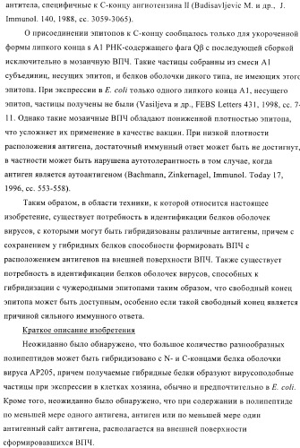 Вирусоподобные частицы, включающие гибридный белок белка оболочки бактериофага ар205 и антигенного полипептида (патент 2409667)