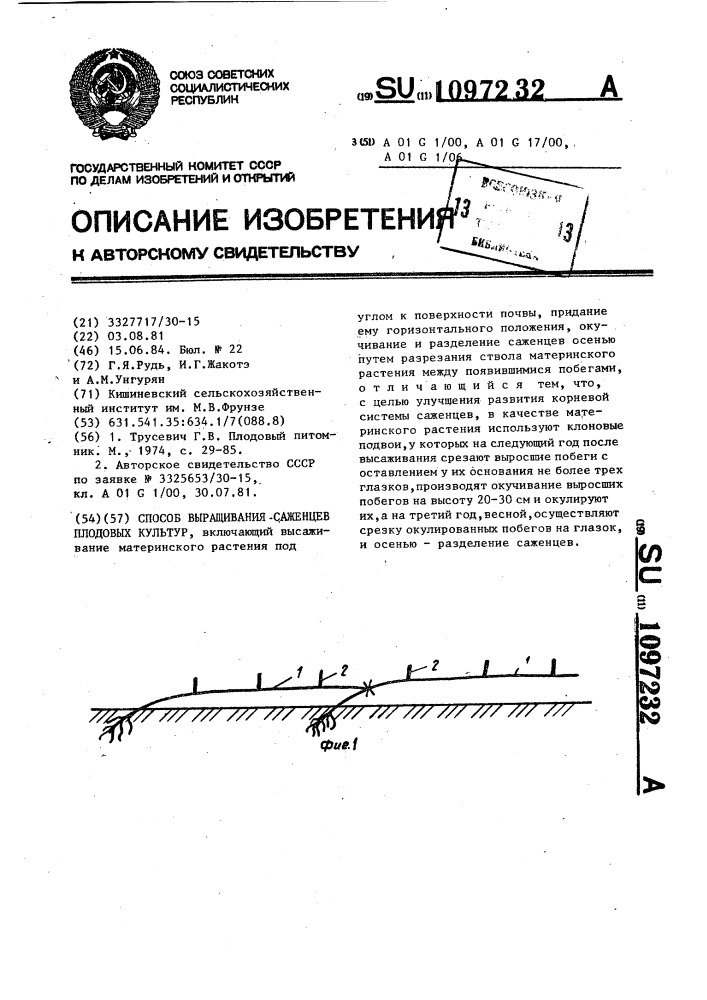 Способ выращивания саженцев плодовых культур (патент 1097232)