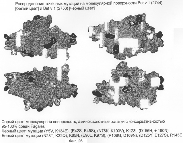 Новые мутантные аллергены (патент 2285042)