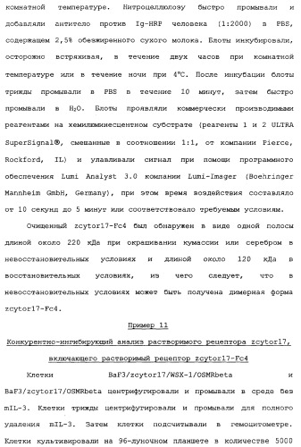 Новый лиганд рецептора цитокина zcytor17 (патент 2360923)