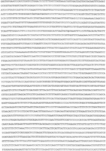 Применение s1p (патент 2362565)