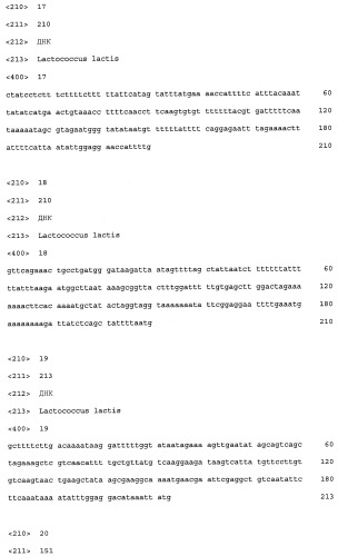 Промоторы lactococcus и их применение: (патент 2495129)