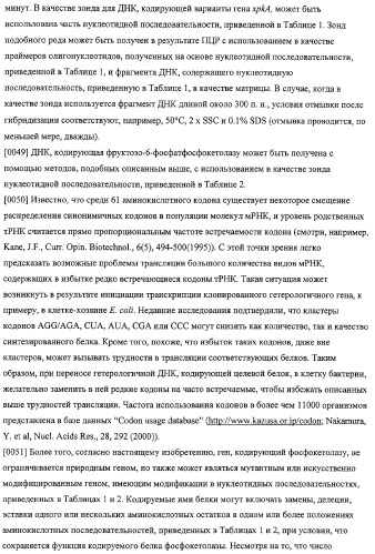 Использование фосфокетолазы для продукции полезных метаболитов (патент 2322496)