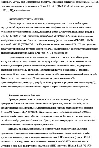 Способ получения l-треонина с использованием бактерии, принадлежащей к роду escherichia, в которой инактивирован оперон rspab (патент 2337961)
