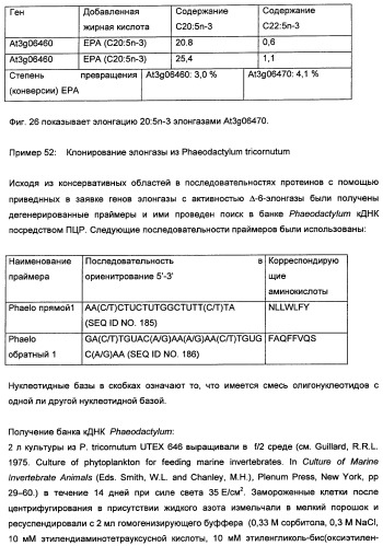 Способ получения полиненасыщенных кислот жирного ряда в трансгенных организмах (патент 2447147)