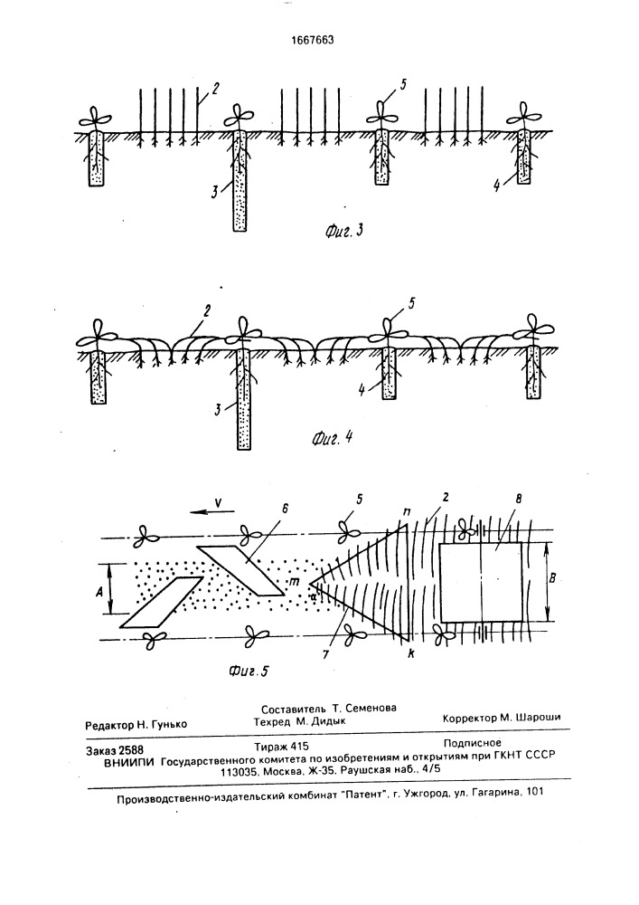 Способ возделывания сахарной свеклы (патент 1667663)