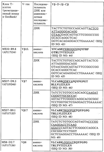 V-d-j олигонуклеотид т-клеточного рецептора, пара праймеров, олигонуклеотидный зонд, способ обнаружения клона mbp83-99v13.1 т-клеток, экспрессирующих мотив lgraglty т-клеточного рецептора, набор, способ лечения аутоиммунного заболевания и способ его мониторинга (патент 2251552)