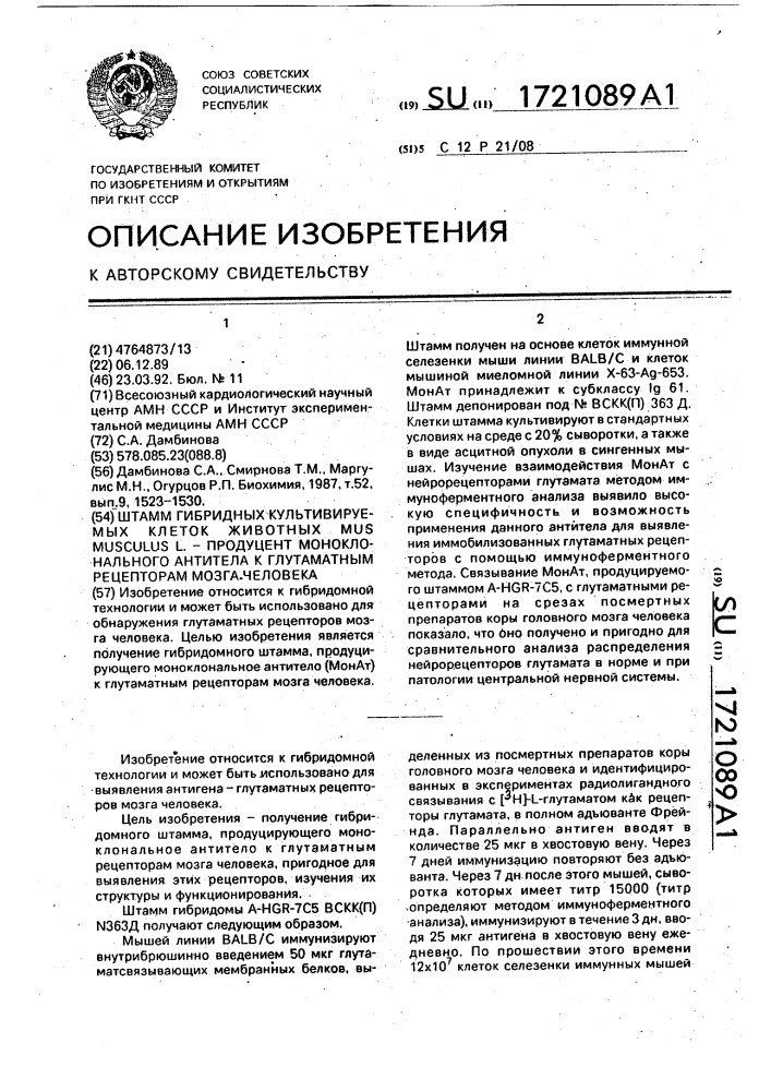 Штамм гибридных культивируемых клеток животных mus.мusсulus l.-продуцент моноклонального антитела к глутаматным рецепторам мозга человека (патент 1721089)