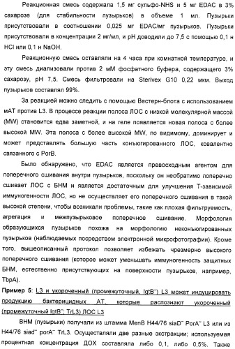 Вакцинные композиции, содержащие липополисахариды иммунотипа l2 и/или l3, происходящие из штамма neisseria meningitidis igtb- (патент 2364418)