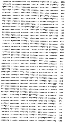 Способ получения метакриловой кислоты или сложных эфиров мeтакриловой кислоты (патент 2491346)