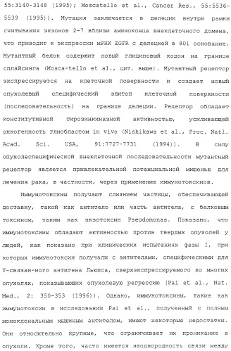 Scfv против egfrviii с улучшенной цитотоксичностью и выходом, иммунотоксины на их основе и способы их применения (патент 2317999)