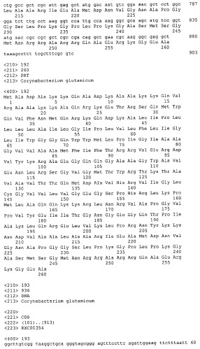 Гены corynebacterium glutamicum, кодирующие белки, участвующие в синтезе мембран и мембранном транспорте (патент 2312145)
