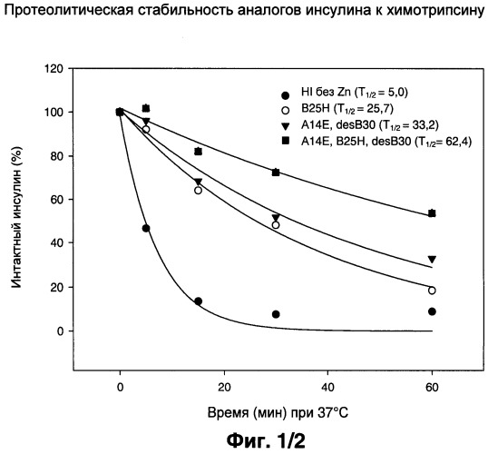 Аналоги инсулина, устойчивые к протеазам (патент 2524150)