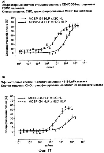 Pscaxcd3, cd19xcd3, c-metxcd3, эндосиалинxcd3, epcamxcd3, igf-1rxcd3 или fap-альфаxcd3 биспецифическое одноцепочечное антитело с межвидовой специфичностью (патент 2547600)