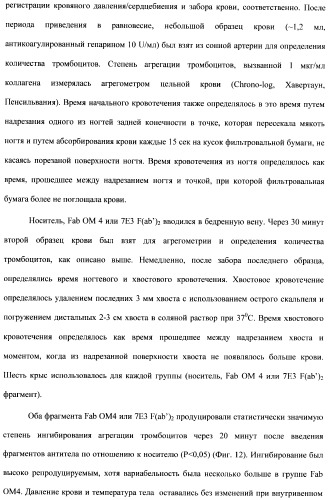 Антитела к гликопротеину vi и способы продуцирования и использования этих антител (патент 2407752)