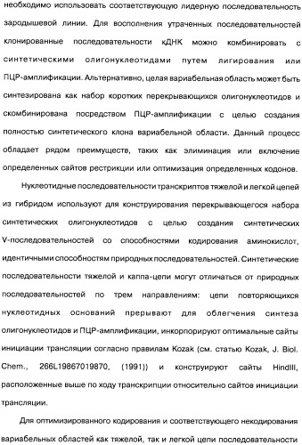 Человеческие моноклональные антитела к рецептору эпидермального фактора роста (egfr), способ их получения и их использование, гибридома, трансфектома, трансгенное животное, экспрессионный вектор (патент 2335507)