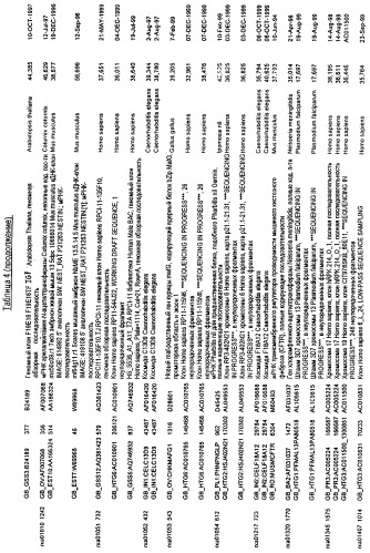 Гены corynebacterium glutamicum, кодирующие белки резистентности и толерантности к стрессам (патент 2303635)