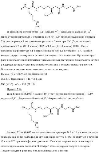 Бактерицидные содержащие амидные группы макроциклы v (патент 2409588)