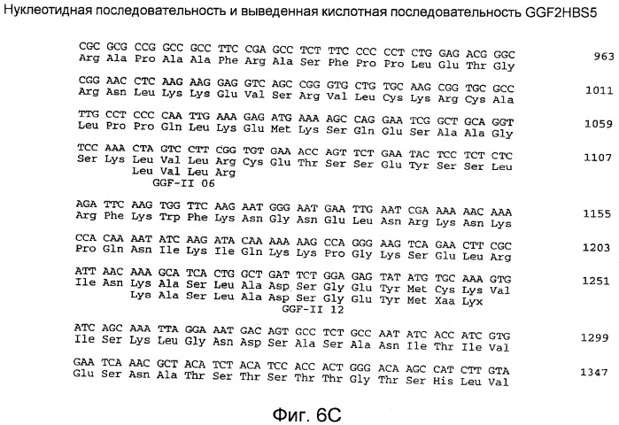 Способы выявления сердечных нарушений (патент 2498309)
