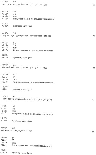 Микроорганизмы corynebacterium с повышенной продукцией 5&#39;- инозиновой кислоты и способ получения нуклеиновых кислот с их использованием (патент 2482178)