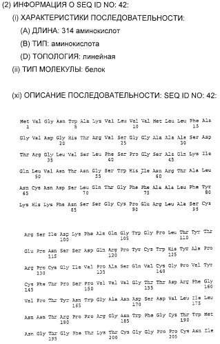 Очищенные белки оболочки вируса гепатита с для диагностического и терапевтического применения (патент 2313363)