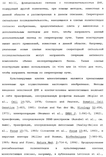Новый лиганд рецептора цитокина zcytor17 (патент 2360923)