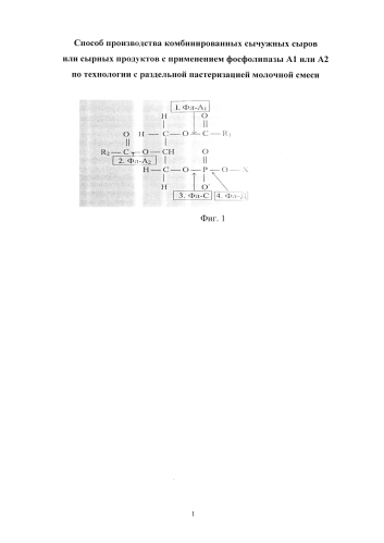 Способ производства комбинированных сычужных сыров или сырных продуктов с применением фосфолипазы а1 или а2 по технологии с раздельной пастеризацией молочной смеси (патент 2577109)