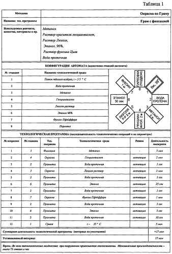 Автомат для окраски мазков на предметных стеклах (патент 2440562)