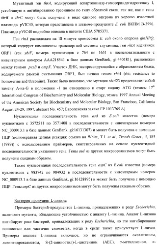 Способ конструирования оперонов, содержащих трансляционно сопряженные гены (патент 2411292)