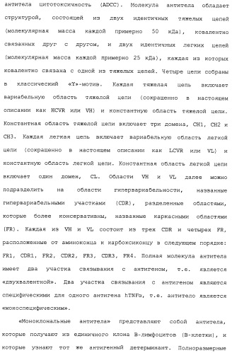 Кристаллические антитела против htnf  (патент 2486296)