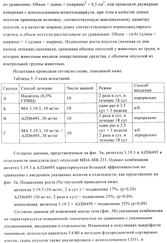 Стабилизированные антитела против ангиопоэтина-2 и их применение (патент 2509085)