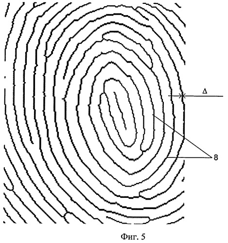Способ формирования биометрического кода отпечатка пальца (патент 2395840)