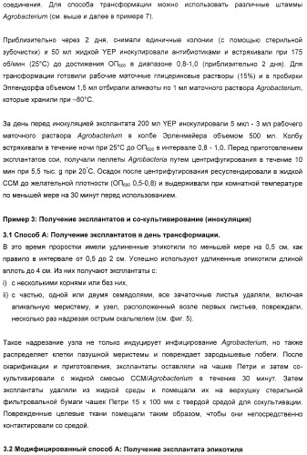 Улучшенная трансформация сои (патент 2389797)